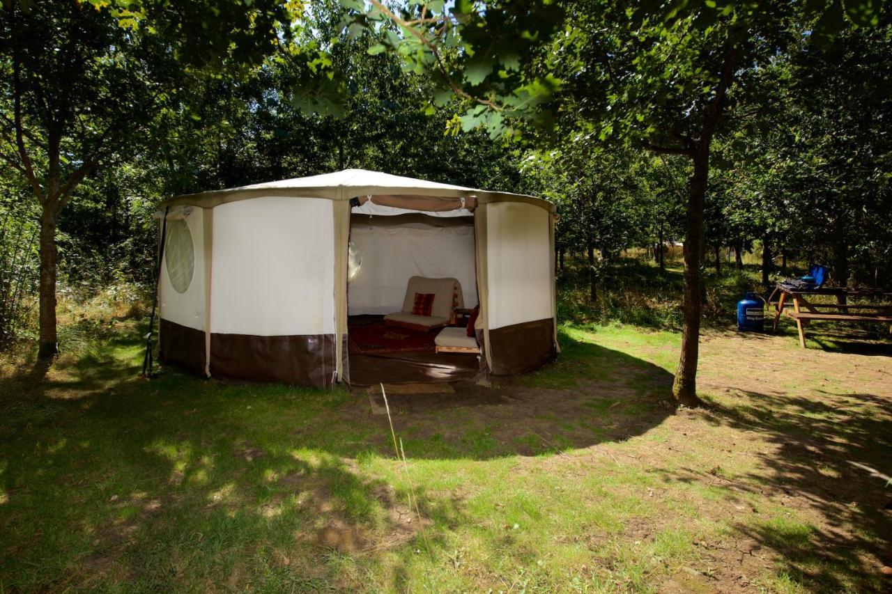 Hotel Dgg Woodland Escape à South Barrow Extérieur photo