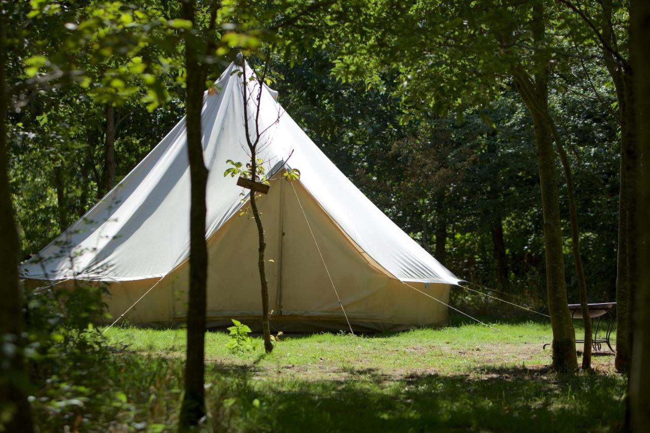 Hotel Dgg Woodland Escape à South Barrow Extérieur photo