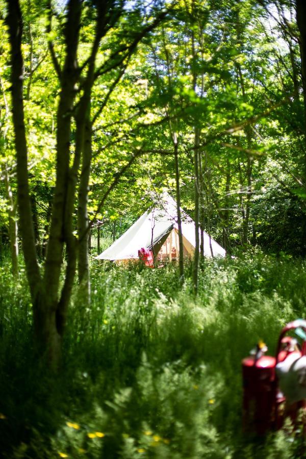 Hotel Dgg Woodland Escape à South Barrow Extérieur photo
