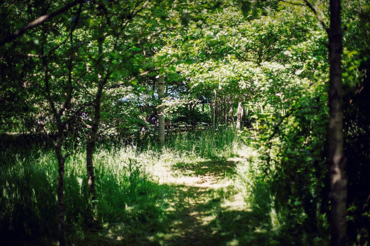 Hotel Dgg Woodland Escape à South Barrow Extérieur photo