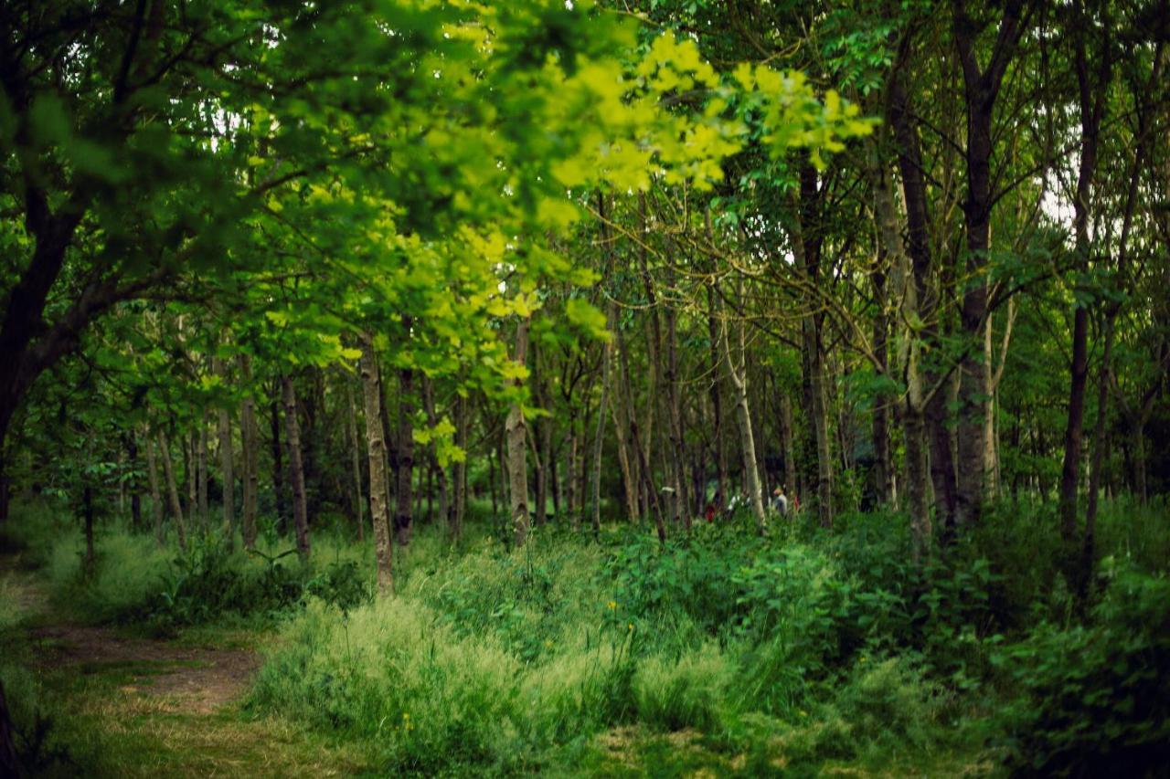 Hotel Dgg Woodland Escape à South Barrow Extérieur photo