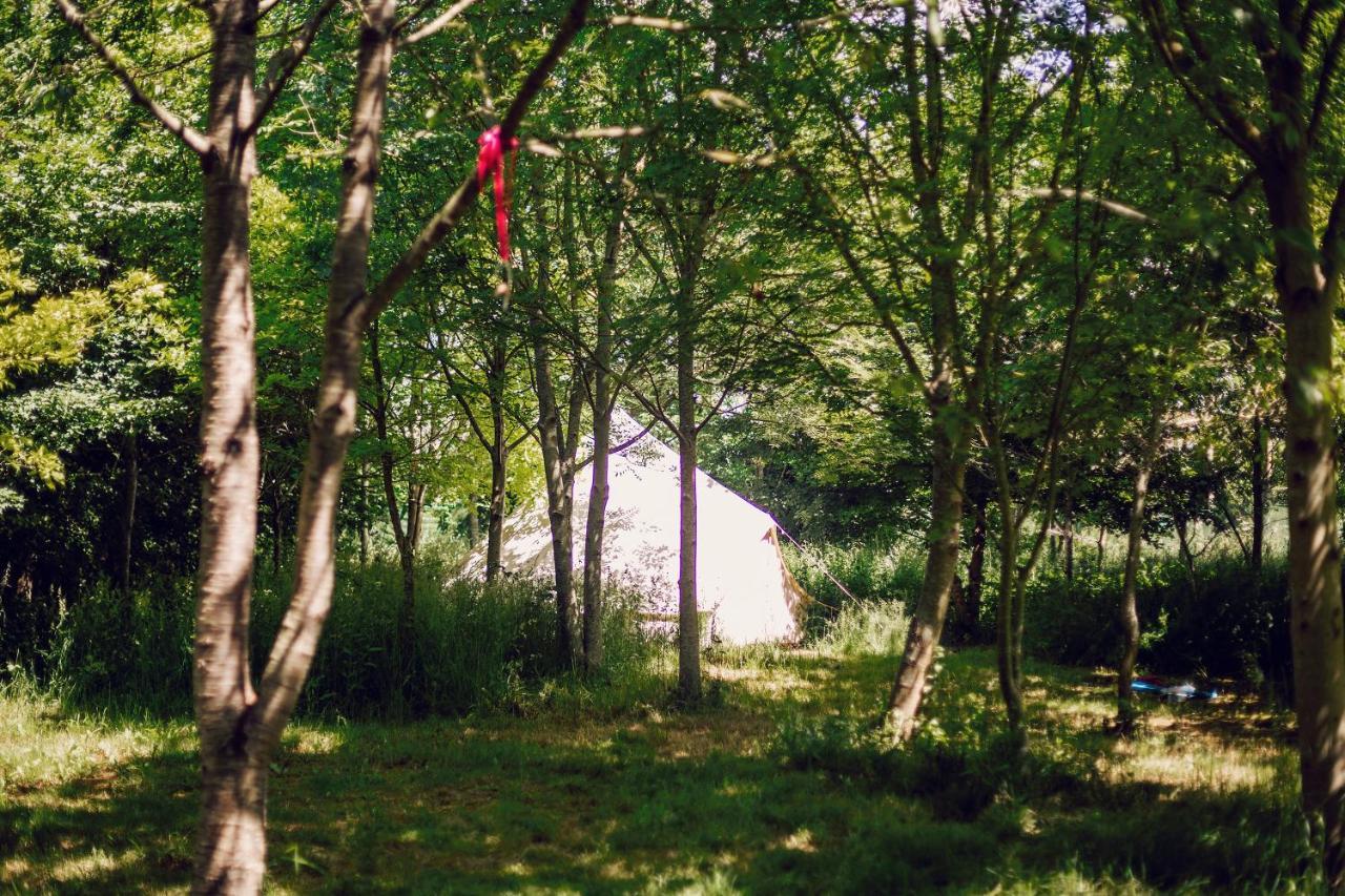 Hotel Dgg Woodland Escape à South Barrow Extérieur photo