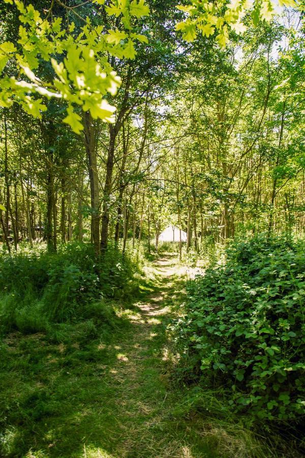 Hotel Dgg Woodland Escape à South Barrow Extérieur photo
