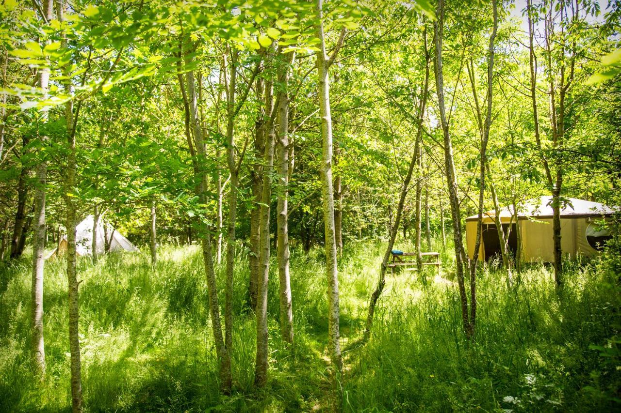 Hotel Dgg Woodland Escape à South Barrow Extérieur photo