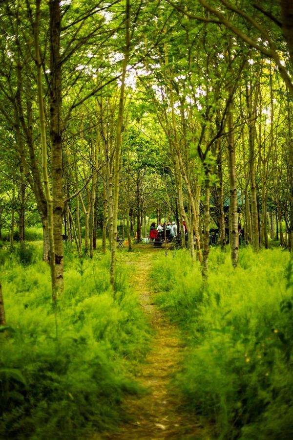 Hotel Dgg Woodland Escape à South Barrow Extérieur photo